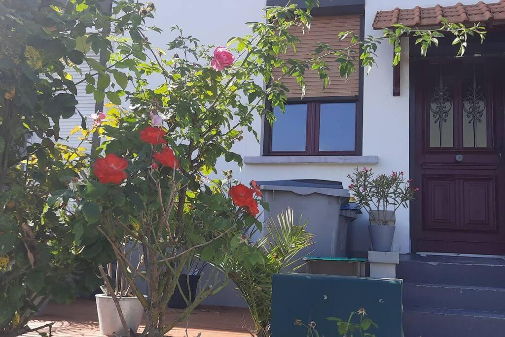 Maison Atypique Proche Plages, Forets, Sites Touristiques